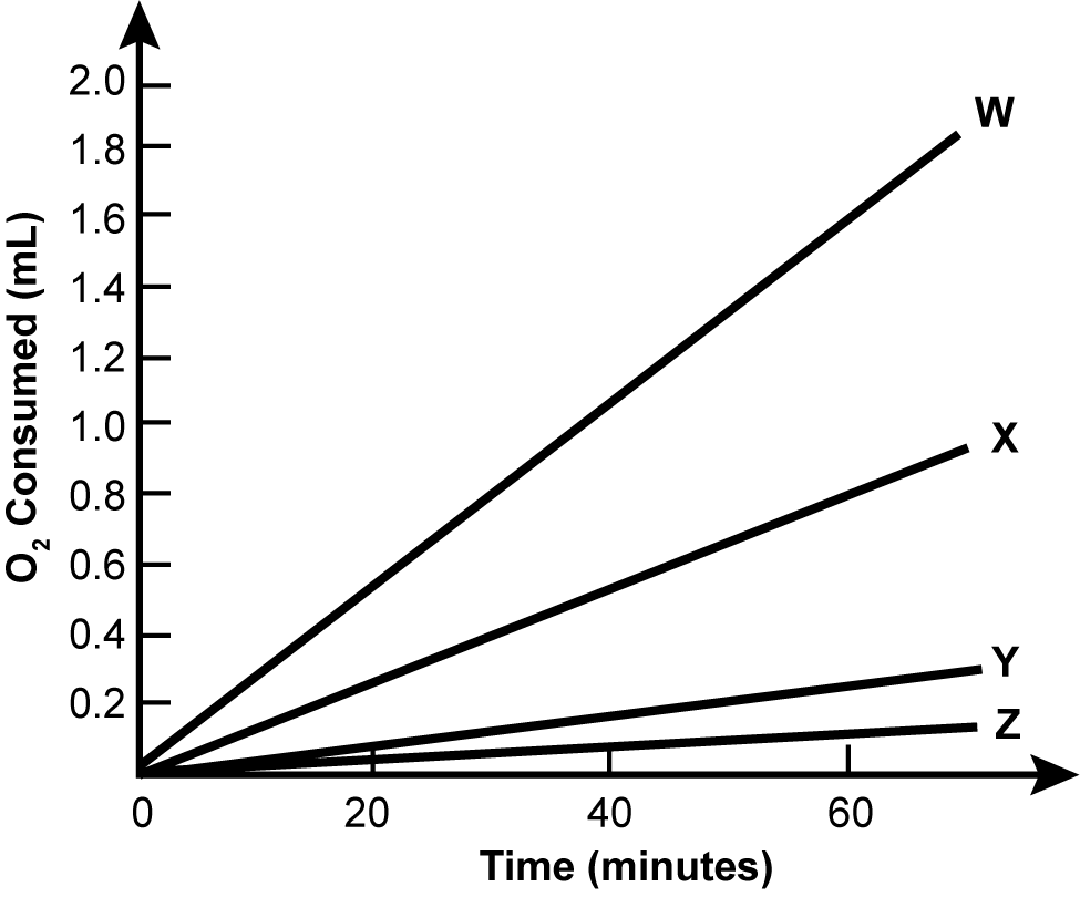 a graph of the oxygen consumption in milliliters of four experimental groups over time