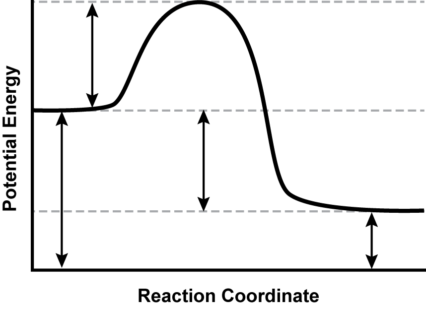 a graph showing potential energy across reaction coordinates