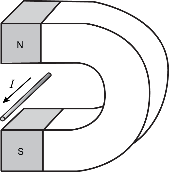a horseshoe magnet with a current running between the magnetic poles